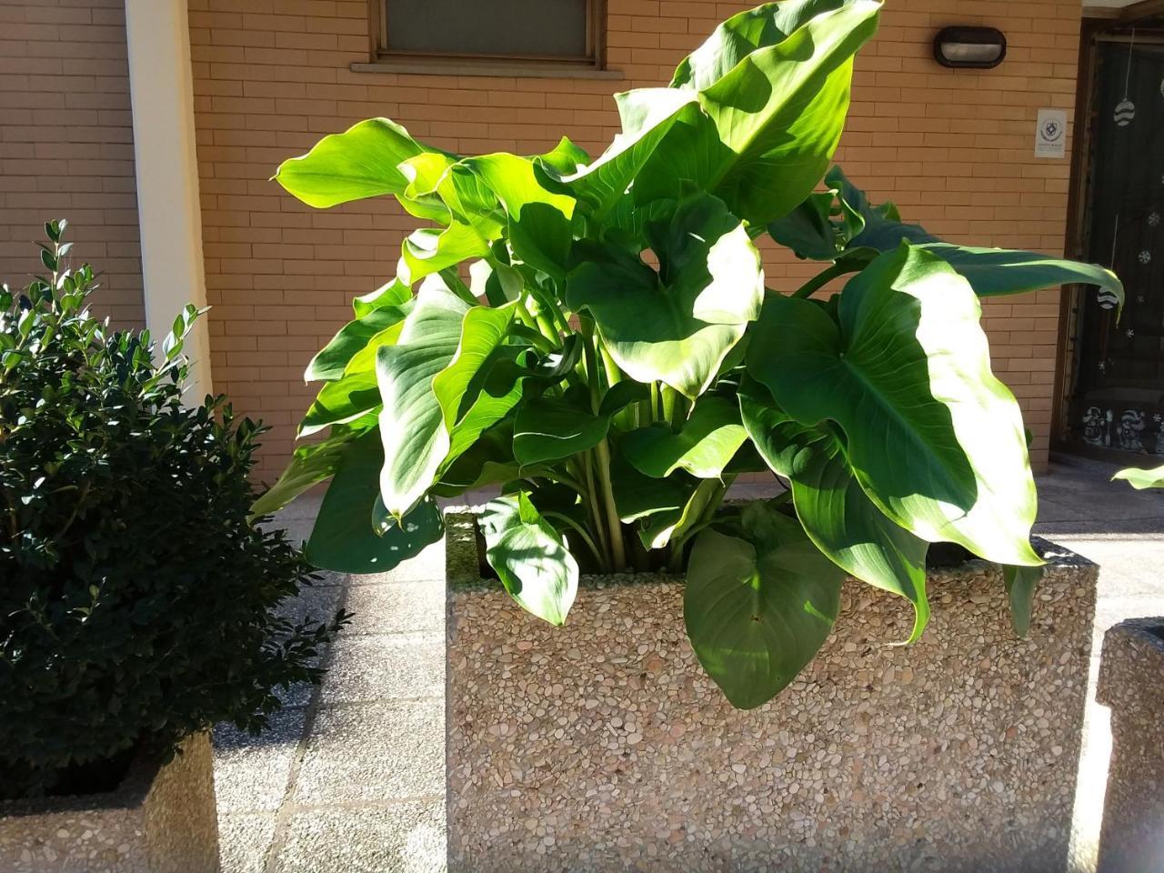 Albergo Nyers Perugia Exterior foto